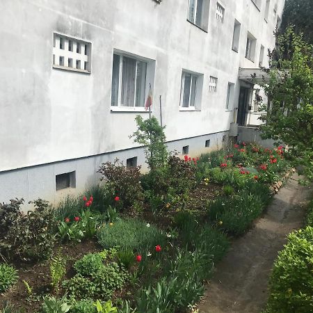Apartament Colina Клуж-Напока Экстерьер фото